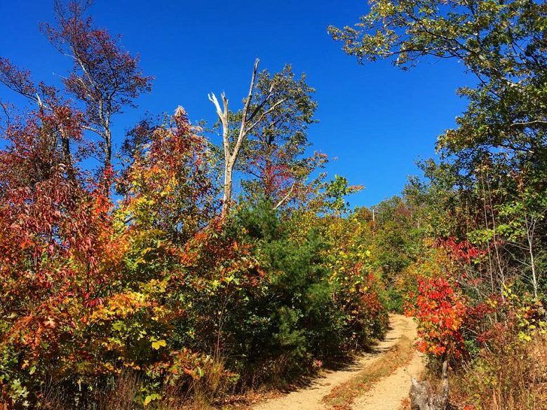 Off-Roading on Tray Mountain Road Jeep Trail