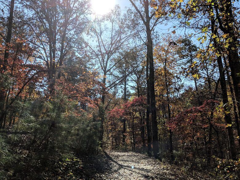 Iron Hill Loop Trail at Red Top Mountain State Park