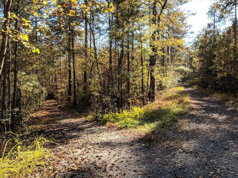 Iron Hill Loop Trail at Red Top Mountain State Park