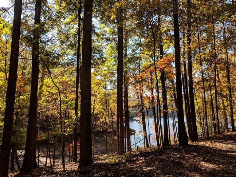 Hiking the Iron Hill Loop Trail Hikes