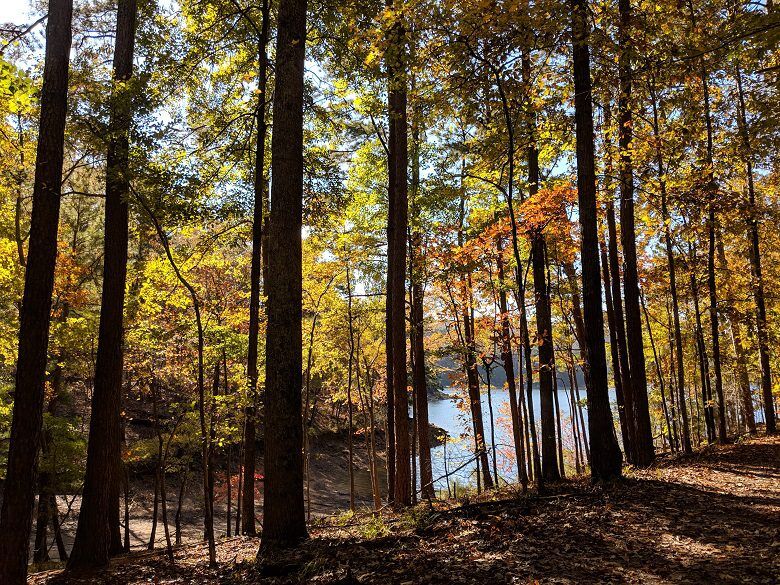 Iron Hill Loop Trail at Red Top Mountain State Park