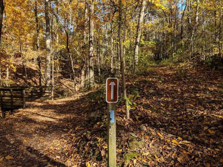 Hiking the Iron Hill Loop Trail Hikes