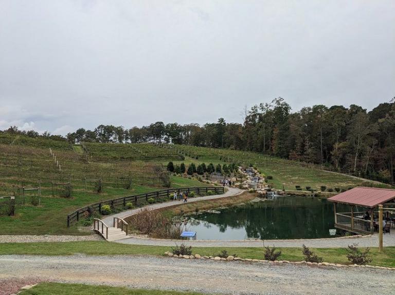 Visiting Big Door Vineyards in White,