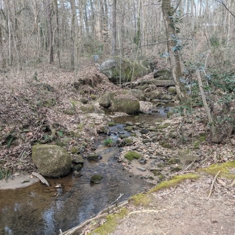 Georgia Hikes: Heritage Park Trail