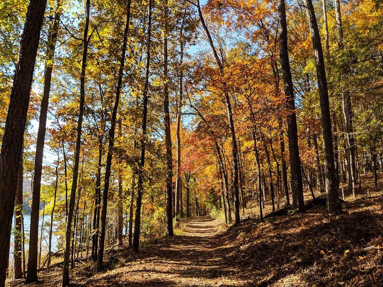 Iron Hill Loop Trail at Red Top Mountain State Park