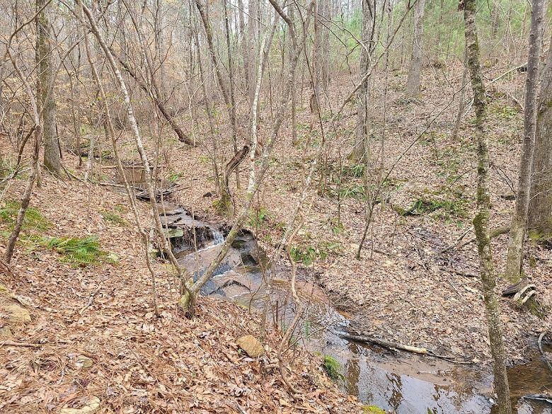 Stream on the Wild Turkey Trail