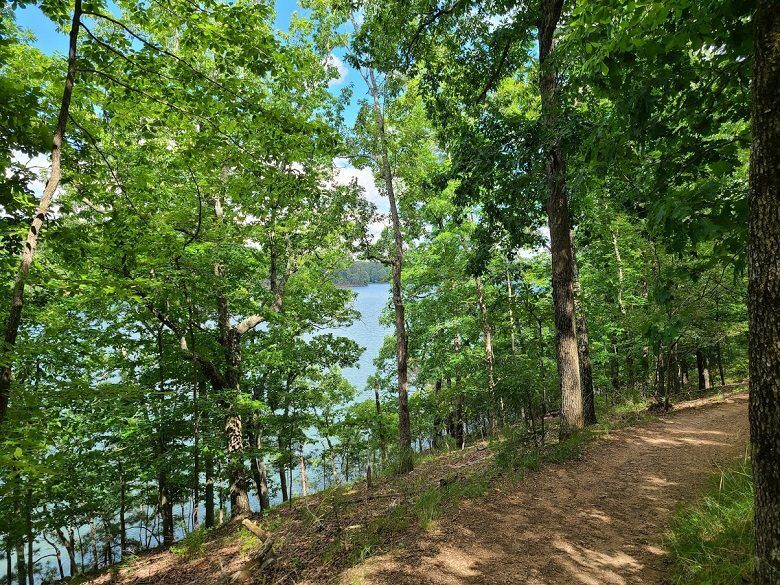 Homestead Trail and view of Lake Allatoona