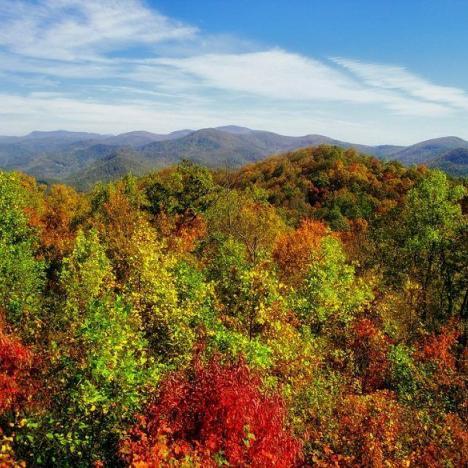 Fall in Atlanta: 10 Top Things to Do