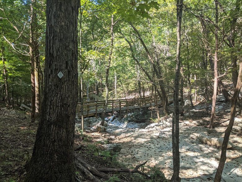 Hiking the Jones Valley Loop Trail Alabama Hikes