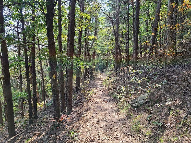 West Overlook Trail