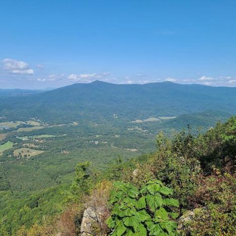 Georgia Hikes: Big Rock Nature Trail
