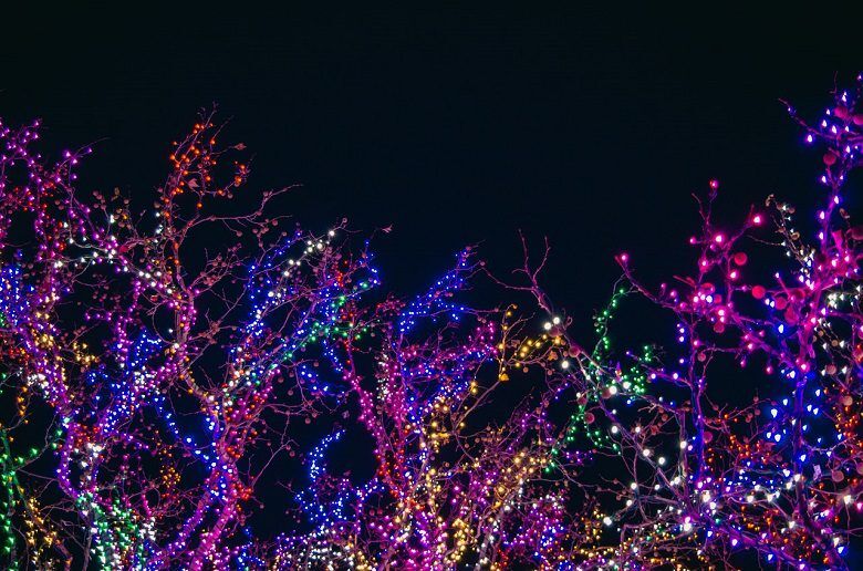 33+ Christmas Lights in Atlanta You Won't Want to Miss