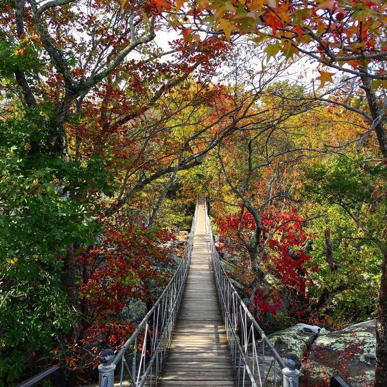 Swing-a-long Bridge at Rock City Gardens