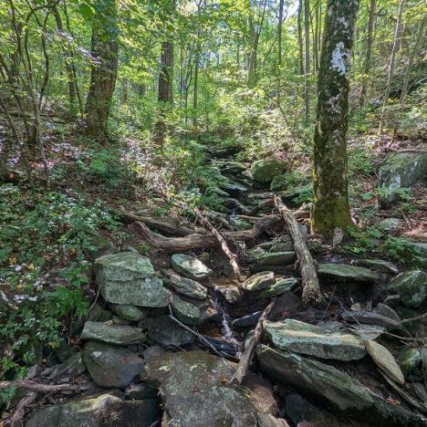 Georgia Hikes: Stone Wall, Tower, & Overlook Trails at Fort Mountain State Park