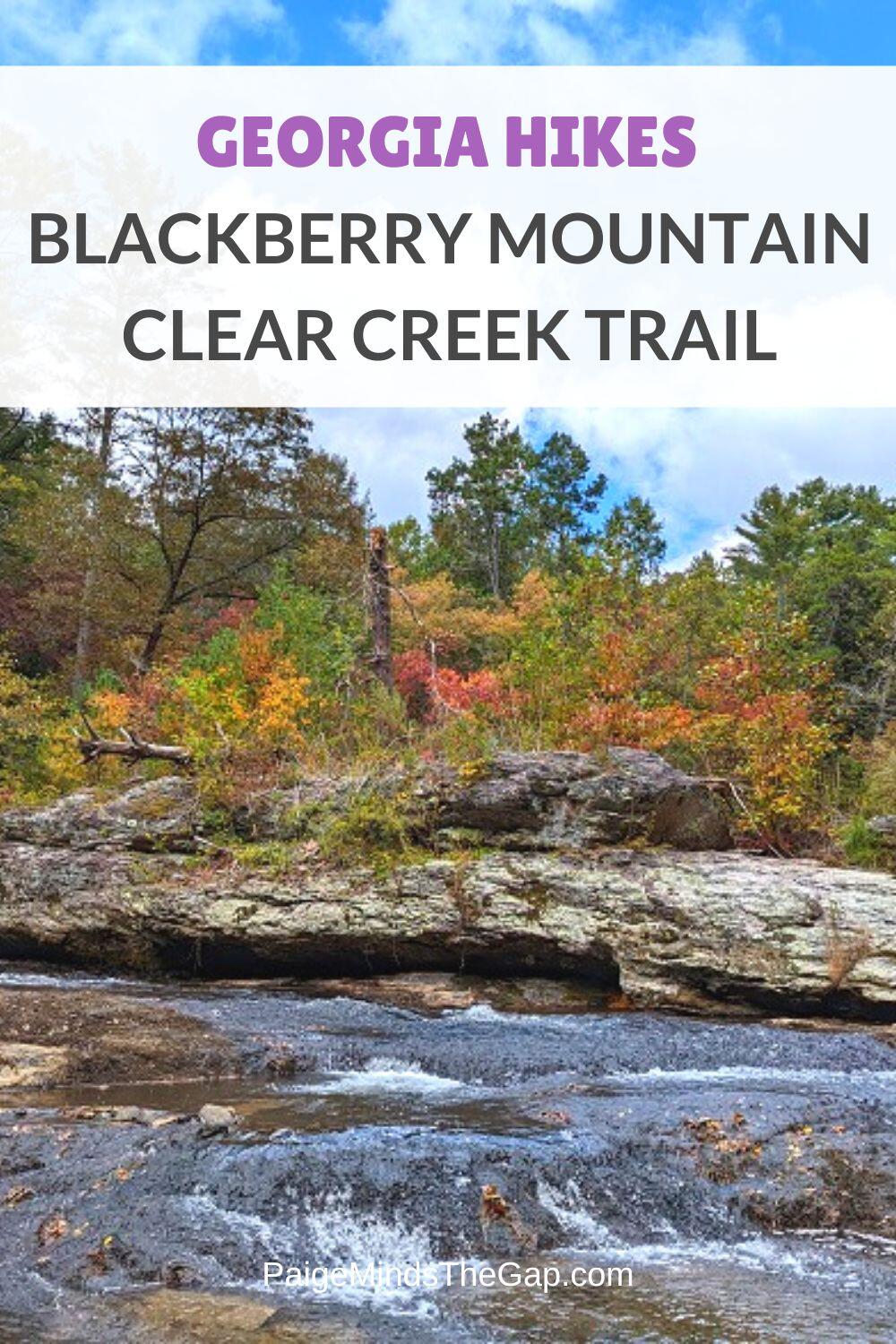 Hiking Blackberry Mountain Clear Creek Trail in Ellijay, GA