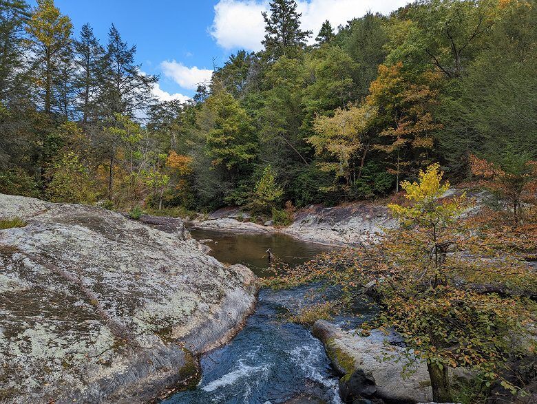 Hiking Blackberry Mountain Clear Creek Trail in Ellijay, GA