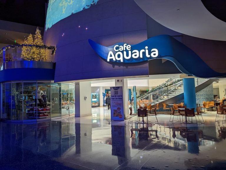 A Guide to Visiting the Aquarium