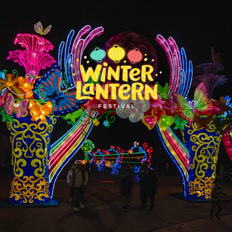 11 Magical Things to Do in Atlanta in Winter