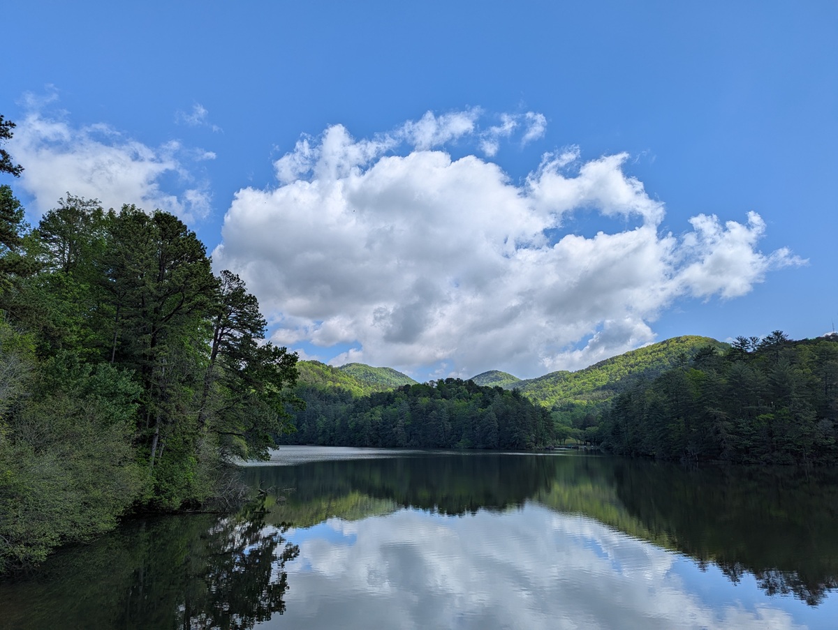 blog Image